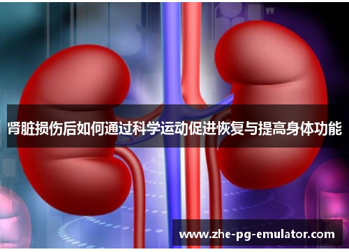 肾脏损伤后如何通过科学运动促进恢复与提高身体功能 肾脏损伤后如何通过科学运动促进恢复与提高身体功能